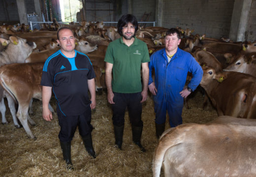 O proxecto gandeiro da Cooperativa Agraria Provincial da Coruña empeza a tomar forma en Santa Mariña